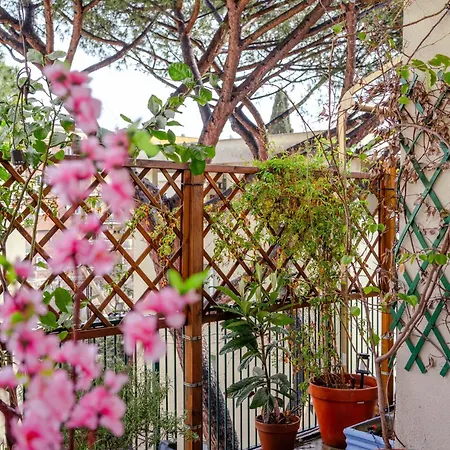 La Casa Di Zima アパート